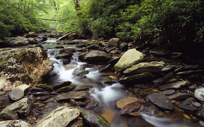 Rocks, stones, creek, stream, bush Wallpapers Pictures Photos Images