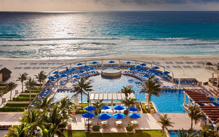 Tropical resort, ocean, beach, palm trees, swim pool Wallpapers Pictures Photos Images