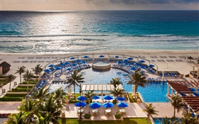 Tropical resort, ocean, beach, palm trees, swim pool HD wallpaper