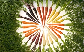 Vegetables, carrot, different colors, circle HD wallpaper