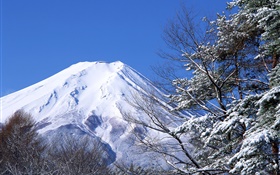 White world, winter, snow, Mount Fuji, Japan HD wallpaper