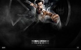 X-Men Origin: Wolverine HD wallpaper