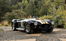 1965 Ford Shelby Cobra 427 retro car HD wallpaper