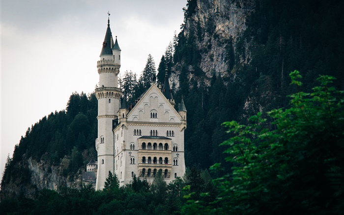Castle, mountain, trees Wallpapers Pictures Photos Images
