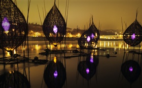 Festival of lights, river, France, Lyon HD wallpaper