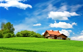 Green grass, trees, house, clouds, blue sky