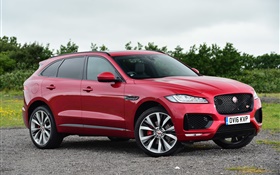 Jaguar F-Pace SUV, red color HD wallpaper