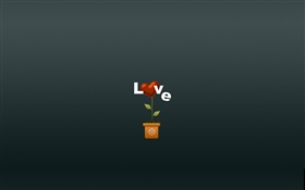 Love, flower, creative pictures HD wallpaper