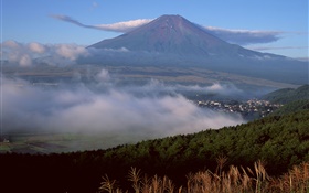 Mount Fuji, Japan, town, forest, grass, fog, clouds HD wallpaper