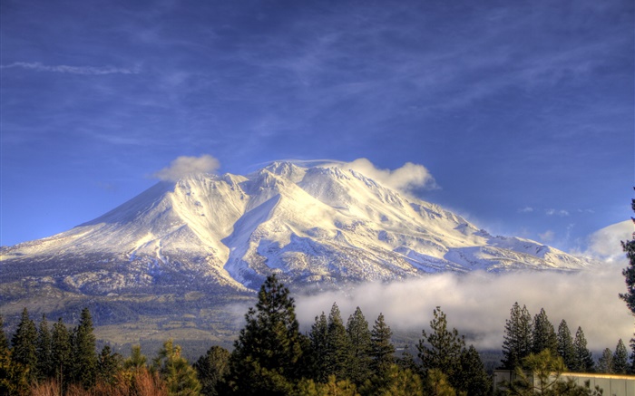 Mountain, snow, trees, clouds, Shasta, California, USA Wallpapers Pictures Photos Images