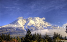 Mountain, snow, trees, clouds, Shasta, California, USA HD wallpaper