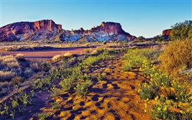 Mountains, rocks, grass, flowers, dusk, America nature HD wallpaper