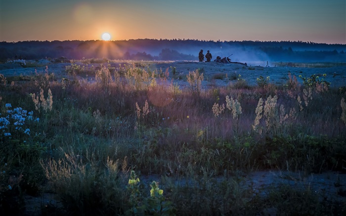 Nature, grass, soldiers, sunset Wallpapers Pictures Photos Images
