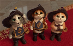 Puss in Boots, three kittens HD wallpaper
