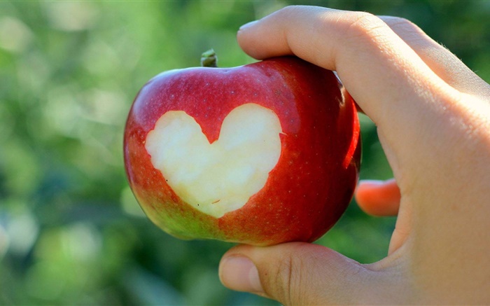 Red apple, love hearts, hand Wallpapers Pictures Photos Images