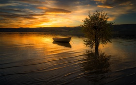 Sunset, clouds, river, tree, boat HD wallpaper