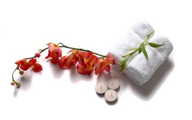 Towels, orchid, candle, SPA theme HD wallpaper