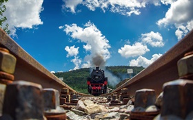 Train, tracks, road, front view HD wallpaper