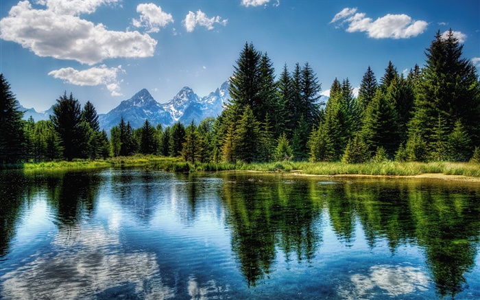 Trees, lake, blue sky, clouds, water reflection Wallpapers Pictures Photos Images