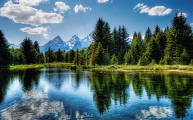 Trees, lake, blue sky, clouds, water reflection
