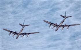 Tupolev TU-95 aircraft airshow HD wallpaper