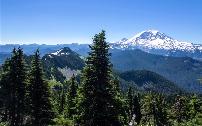 USA, Alaska, forest, mountains, blue sky Wallpapers Pictures Photos Images