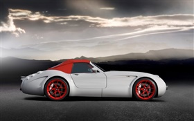 Wiesmann GT MF5 roadster side view