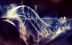 Abstraction shaped, bokeh HD wallpaper