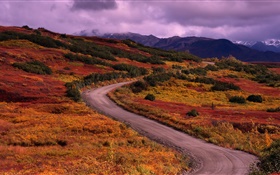 Autumn, mountains, road, grass, clouds HD wallpaper