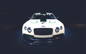 Bentley Continental GT3 Concept race car front view HD wallpaper