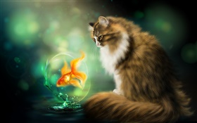 Cat and goldfish, art drawing HD wallpaper