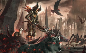 Diablo 3, demon hunter