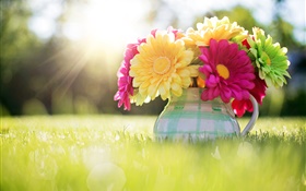 Flowers close-up, gerbera, vase, grass, sunlight HD wallpaper