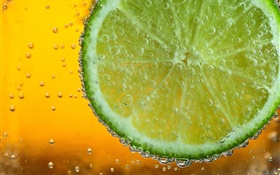 Lime citrus slice, bubbles, macro photography HD wallpaper