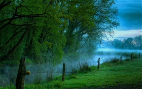 Morning nature scenery, meadow, grass, river, fog HD wallpaper