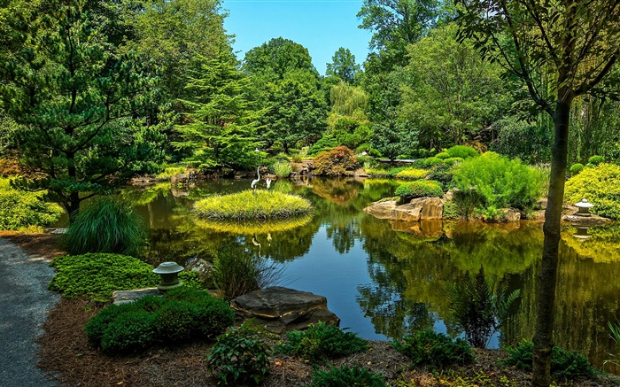 Gibbs Gardens, USA, pond, trees, grass Wallpapers Pictures Photos Images