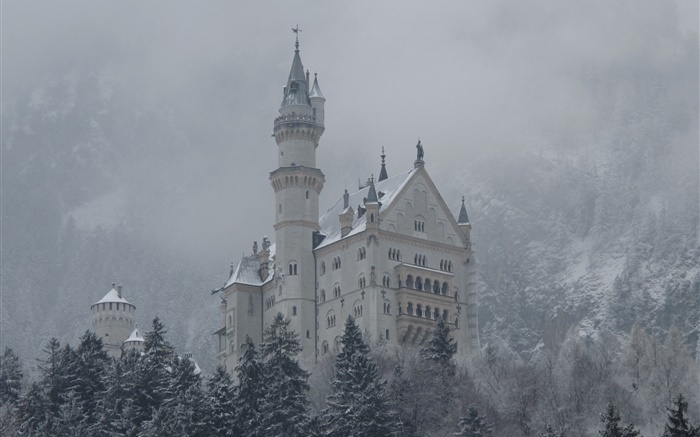 Neuschwanstein, castle, mountains, trees, snow Wallpapers Pictures Photos Images