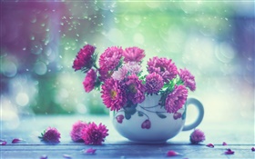 Pink flowers, cup, rain HD wallpaper