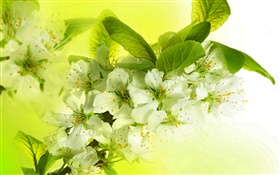 White apple flowers, flowering, twigs, spring HD wallpaper