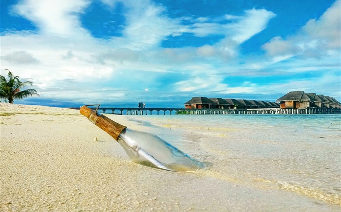 Beach, bottle, pier, house Wallpapers Pictures Photos Images