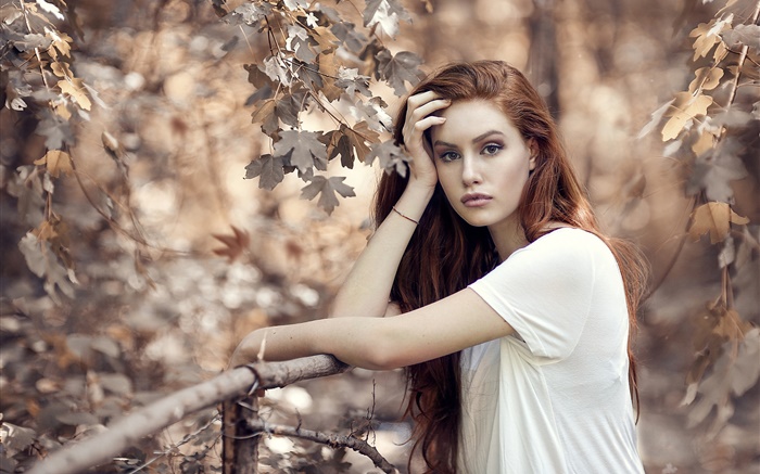 Brown hair girl in autumn, trees, fence Wallpapers Pictures Photos Images