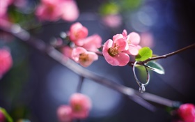 Pink flowers twigs, spring, diamond ring