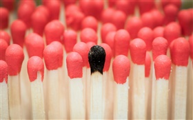 Red, matches, macro photography HD wallpaper