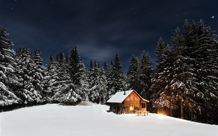 Winter, snow, trees, night, hut Wallpapers Pictures Photos Images