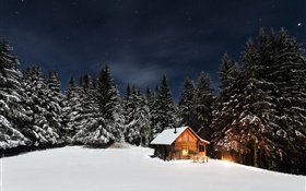 Winter, snow, trees, night, hut HD wallpaper