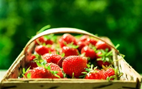 Fresh strawberry, basket, green background HD wallpaper