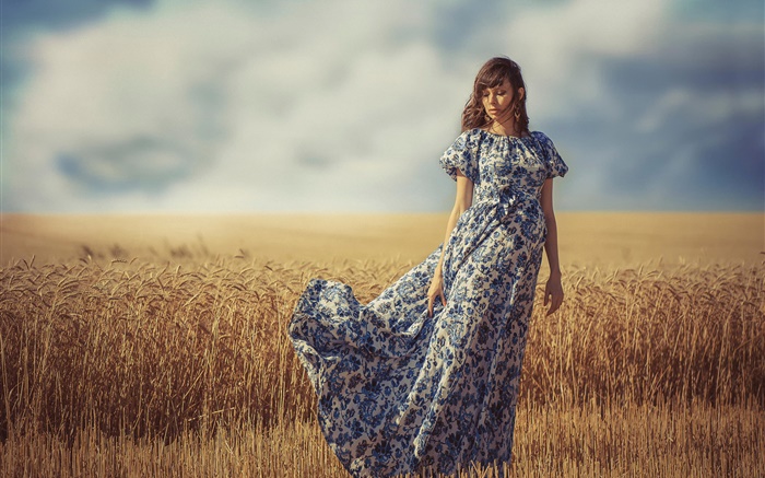 Girl in the wind, summer, wheat field Wallpapers Pictures Photos Images