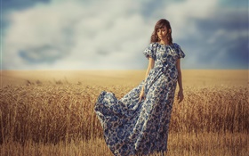 Girl in the wind, summer, wheat field HD wallpaper