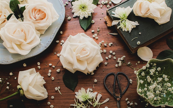 Light pink rose flowers, table, scissors Wallpapers Pictures Photos Images