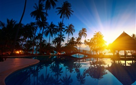 Palm trees, house, sunrise, sun rays, sea water, Thailand HD wallpaper